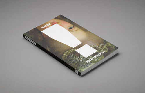 文字设计与文化 解析2013年英国设计博物馆年度平面设计