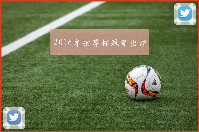 2016年世界杯冠军出炉